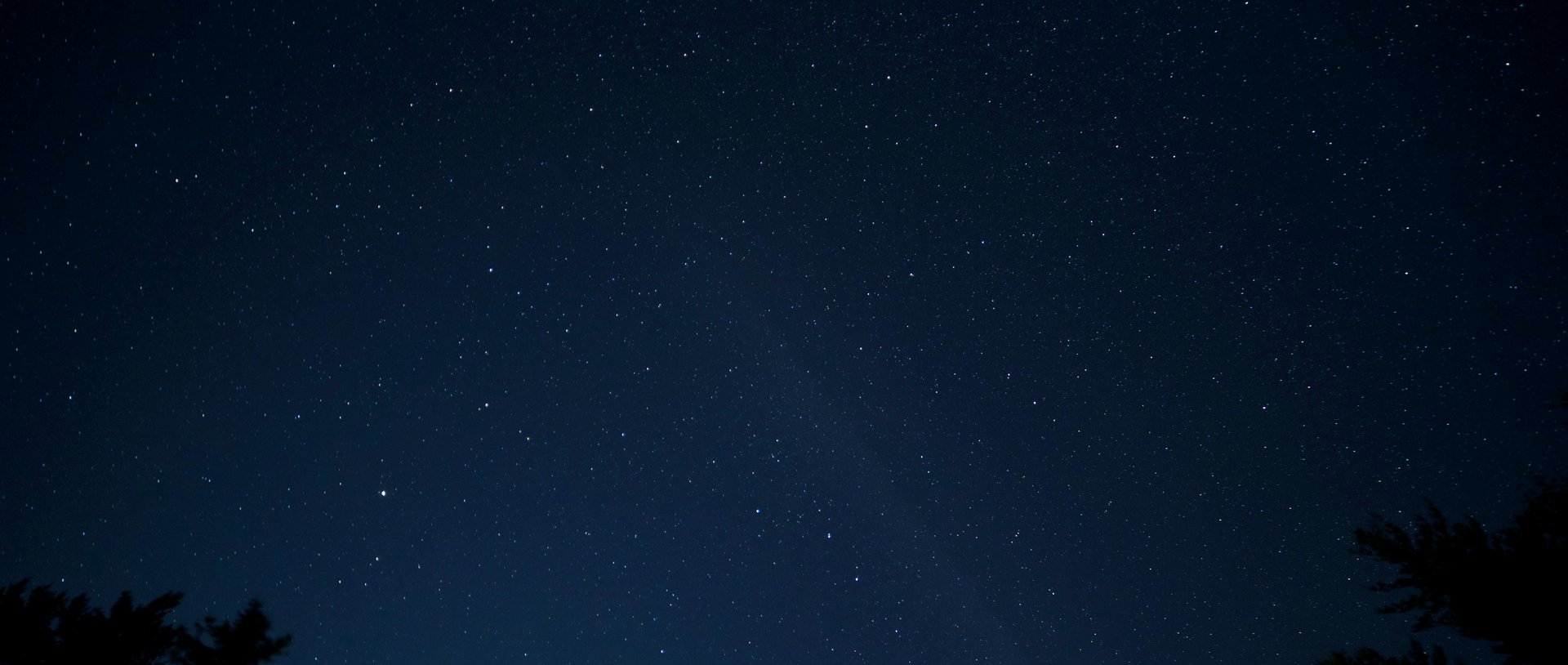 Céu noturno estrelado sobre silhuetas de árvores — paisagem contemplativa